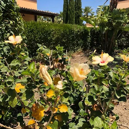 Corte Della Jbsa Villaggio Mosè